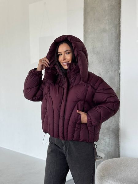 Куртка зимова Chloe JKT-CHLOE фото