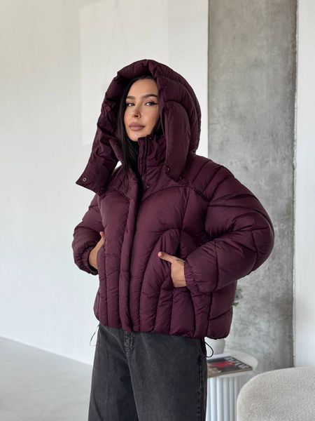 Куртка зимова Chloe JKT-CHLOE фото
