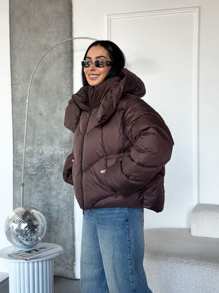 Куртка зимова Swans JKT-232 фото